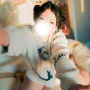 ヒメ日記 2025/12/18 16:00 投稿 愛蝶エレン ゴールドクイーン