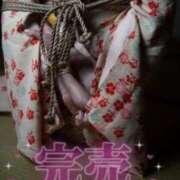 ヒメ日記 2025/12/28 18:50 投稿 愛蝶エレン ゴールドクイーン