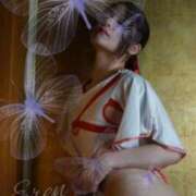 ヒメ日記 2025/12/28 20:20 投稿 愛蝶エレン ゴールドクイーン