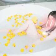 ヒメ日記 2026/01/10 17:20 投稿 愛蝶エレン ゴールドクイーン