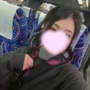 ヒメ日記 2026/01/14 00:10 投稿 愛蝶エレン ゴールドクイーン