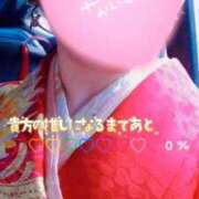 ヒメ日記 2026/01/15 11:40 投稿 愛蝶エレン ゴールドクイーン