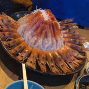 ヒメ日記 2026/01/22 11:08 投稿 愛蝶エレン ゴールドクイーン