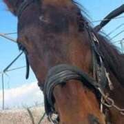 ヒメ日記 2026/03/21 22:10 投稿 愛蝶エレン ゴールドクイーン(雄琴)