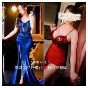 ヒメ日記 2025/11/13 20:20 投稿 あまつかぜ鳳花 ゴールドクイーン