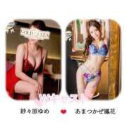 ヒメ日記 2025/11/14 12:20 投稿 あまつかぜ鳳花 ゴールドクイーン