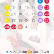 ヒメ日記 2025/11/24 12:35 投稿 あまつかぜ鳳花 ゴールドクイーン