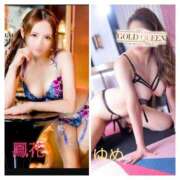 ヒメ日記 2025/11/28 17:20 投稿 あまつかぜ鳳花 ゴールドクイーン