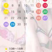 ヒメ日記 2025/12/09 20:20 投稿 あまつかぜ鳳花 ゴールドクイーン