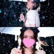 ヒメ日記 2025/12/12 19:30 投稿 あまつかぜ鳳花 ゴールドクイーン