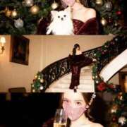 ヒメ日記 2025/12/13 17:20 投稿 あまつかぜ鳳花 ゴールドクイーン