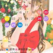 ヒメ日記 2025/12/14 17:34 投稿 あまつかぜ鳳花 ゴールドクイーン