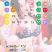 ヒメ日記 2025/12/31 12:35 投稿 あまつかぜ鳳花 ゴールドクイーン