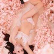 ヒメ日記 2026/01/21 21:20 投稿 あまつかぜ鳳花 ゴールドクイーン