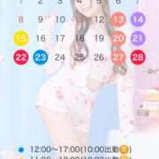 ヒメ日記 2026/02/10 20:20 投稿 あまつかぜ鳳花 ゴールドクイーン