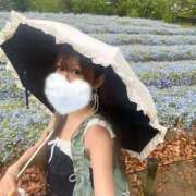 ヒメ日記 2025/07/14 17:22 投稿 河合せいな ゴールドクイーン