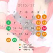 ヒメ日記 2025/11/21 15:30 投稿 紗々原ゆめ ゴールドクイーン