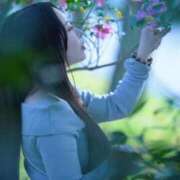 ヒメ日記 2025/07/09 02:30 投稿 高瀬まどか ゴールドクイーン