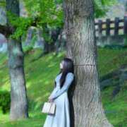 ヒメ日記 2025/07/16 07:50 投稿 高瀬まどか ゴールドクイーン