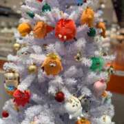 ヒメ日記 2025/12/25 20:00 投稿 高瀬まどか ゴールドクイーン