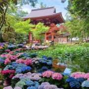 ヒメ日記 2025/08/15 14:40 投稿 山本梨々香 ゴールドクイーン