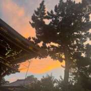 ヒメ日記 2025/09/16 10:20 投稿 山本梨々香 ゴールドクイーン