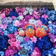 ヒメ日記 2025/09/17 17:40 投稿 山本梨々香 ゴールドクイーン