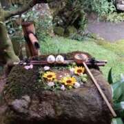 ヒメ日記 2025/10/22 16:30 投稿 山本梨々香 ゴールドクイーン