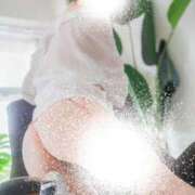 ヒメ日記 2025/10/25 11:28 投稿 山本梨々香 ゴールドクイーン