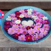 ヒメ日記 2025/10/25 12:20 投稿 山本梨々香 ゴールドクイーン