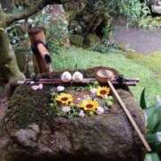 ヒメ日記 2025/10/26 14:50 投稿 山本梨々香 ゴールドクイーン