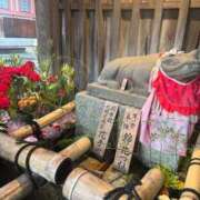 ヒメ日記 2025/10/28 14:00 投稿 山本梨々香 ゴールドクイーン