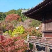 山本梨々香 来週 ゴールドクイーン