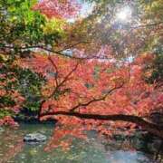 ヒメ日記 2025/12/07 12:50 投稿 山本梨々香 ゴールドクイーン