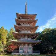 ヒメ日記 2025/12/07 14:20 投稿 山本梨々香 ゴールドクイーン