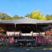 ヒメ日記 2025/12/16 16:40 投稿 山本梨々香 ゴールドクイーン