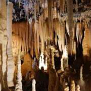 ヒメ日記 2025/12/27 13:29 投稿 山本梨々香 ゴールドクイーン