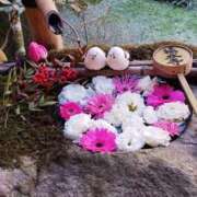 ヒメ日記 2026/01/20 14:50 投稿 山本梨々香 ゴールドクイーン