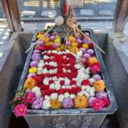 ヒメ日記 2026/01/26 14:24 投稿 山本梨々香 ゴールドクイーン