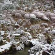 ヒメ日記 2026/02/17 13:40 投稿 山本梨々香 ゴールドクイーン