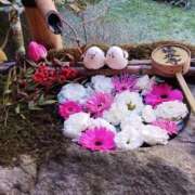 ヒメ日記 2026/04/10 11:20 投稿 山本梨々香 ゴールドクイーン(雄琴)