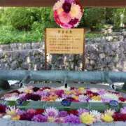 ヒメ日記 2026/06/05 13:50 投稿 山本梨々香 ゴールドクイーン(雄琴)