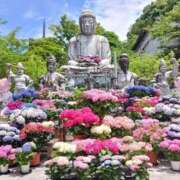 ヒメ日記 2026/06/28 13:42 投稿 山本梨々香 ゴールドクイーン(雄琴)