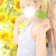 ヒメ日記 2025/08/01 23:31 投稿 渡辺風七 ゴールドクイーン