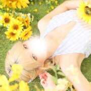 ヒメ日記 2025/08/12 10:40 投稿 渡辺風七 ゴールドクイーン