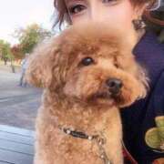 ヒメ日記 2025/11/14 16:34 投稿 及川真琴 ゴールドクイーン