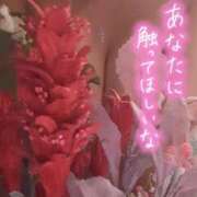 ヒメ日記 2025/08/19 12:00 投稿 水城魅艶 ゴールドクイーン