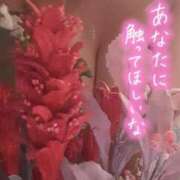 ヒメ日記 2025/10/01 18:50 投稿 水城魅艶 ゴールドクイーン