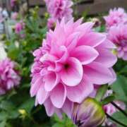 ヒメ日記 2025/10/10 07:10 投稿 水城魅艶 ゴールドクイーン