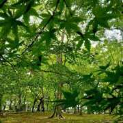 ヒメ日記 2025/11/04 00:20 投稿 水城魅艶 ゴールドクイーン